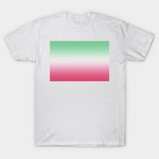 Abrosexual Pride Flag Gradient T-Shirt